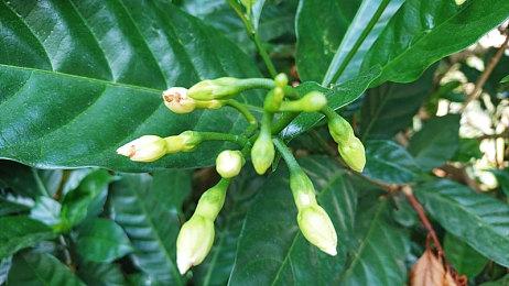 王者归来 RAZER发布炼狱蝰蛇V3专业版