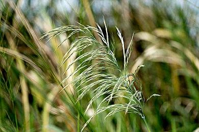 《怪物猎人崛起 曙光》免费更新第5弹介绍节目 4月19日开播